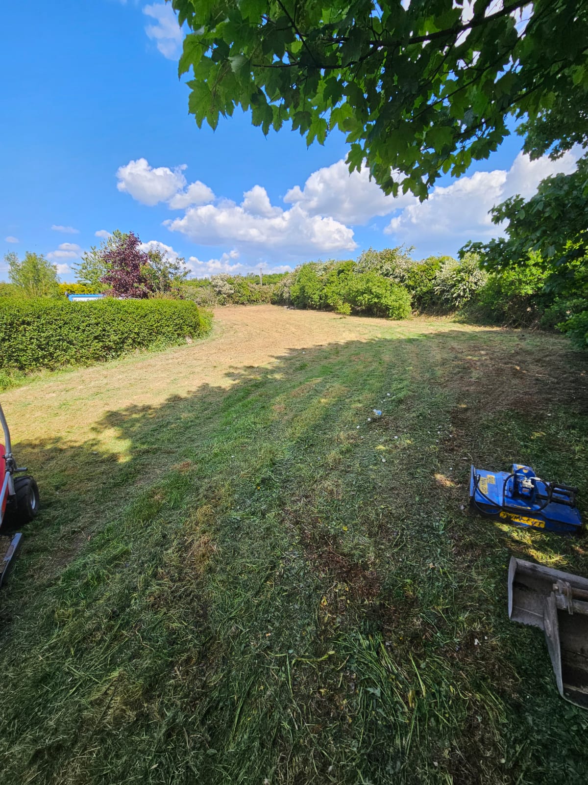 Beautiful maintained lawn area with professional mowing equipment