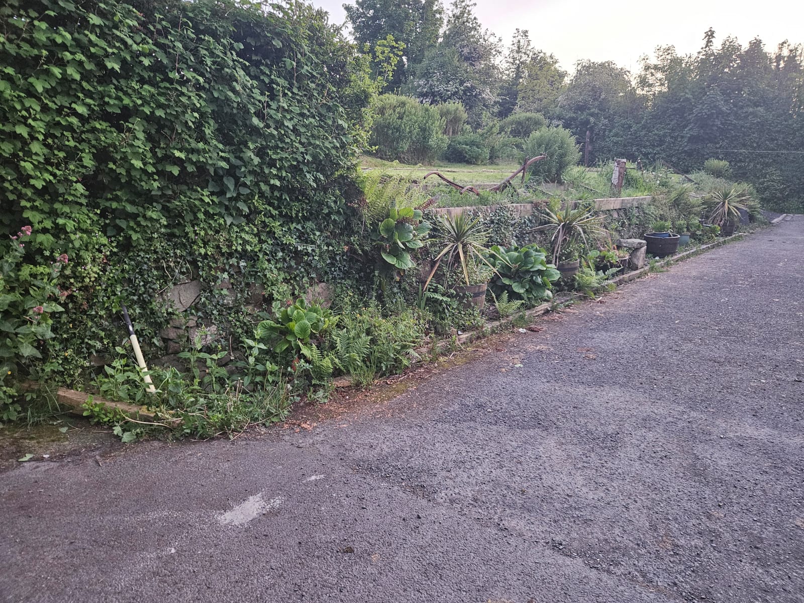 Garden before stone wall installation