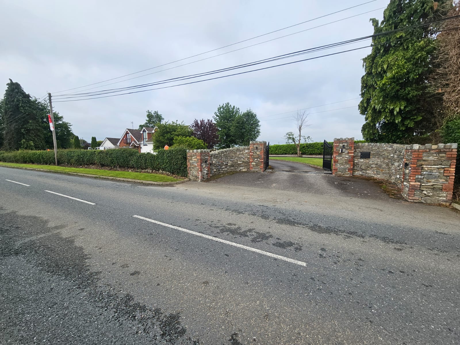 Before photo showing overgrown hedge boundary