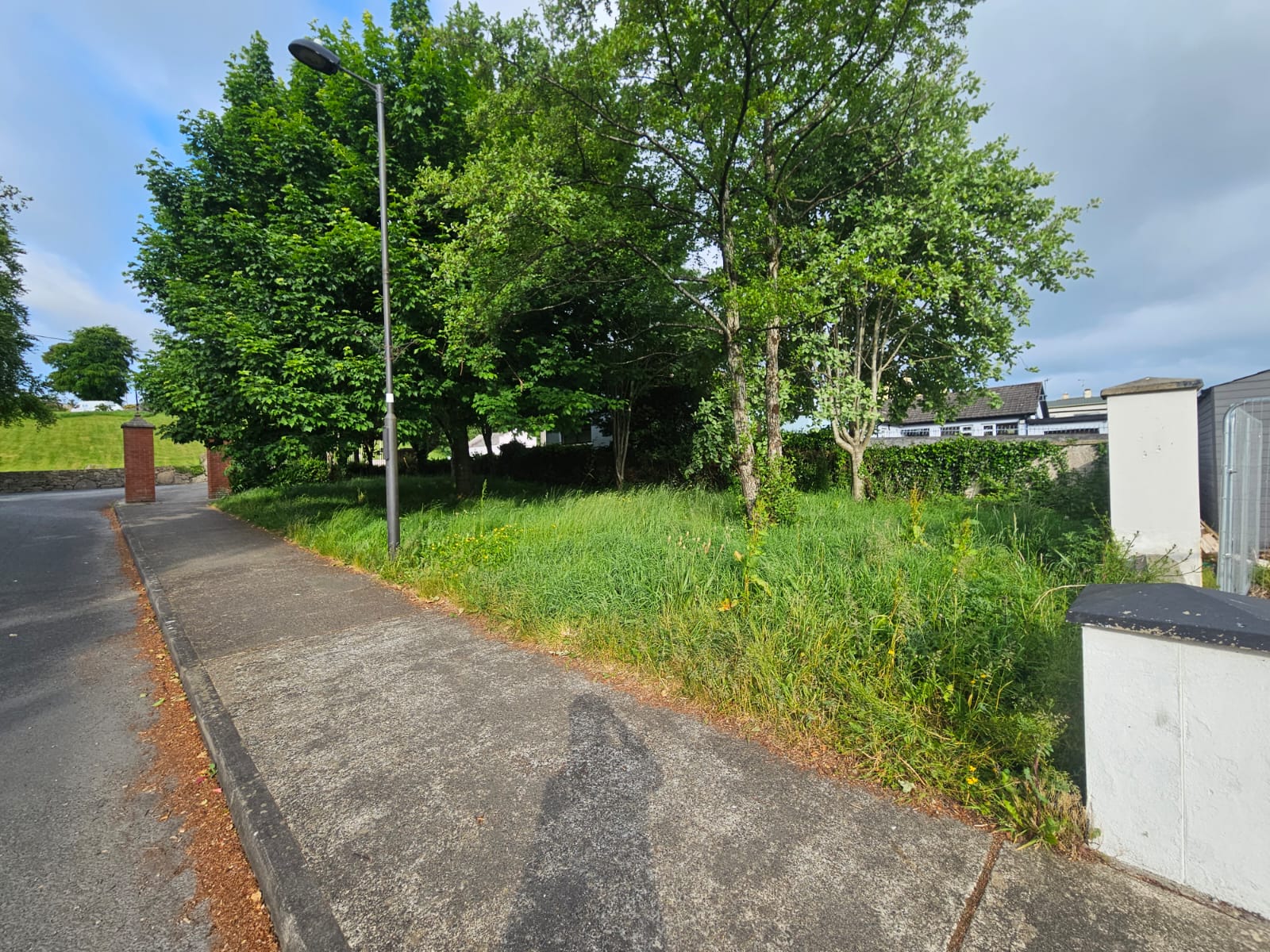 Immaculate roadside area after professional grass maintenance