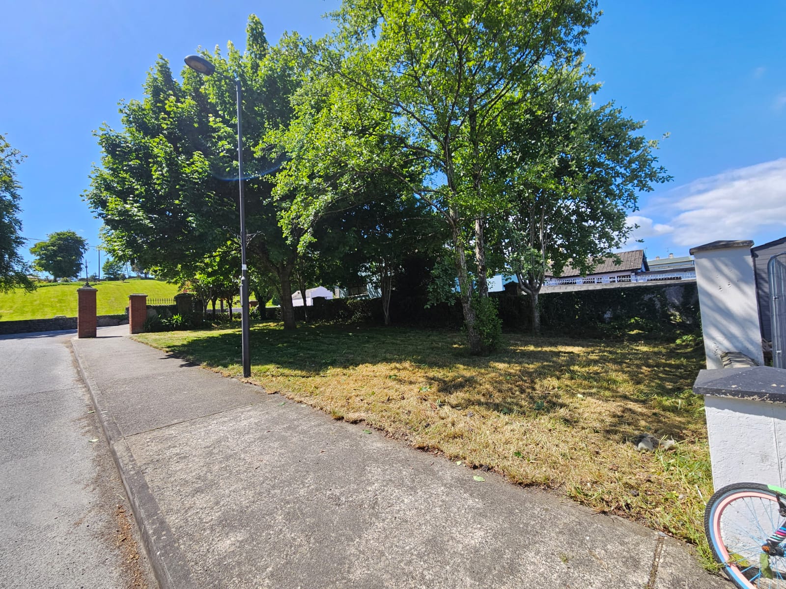 Severely overgrown wild grass area before professional maintenance
